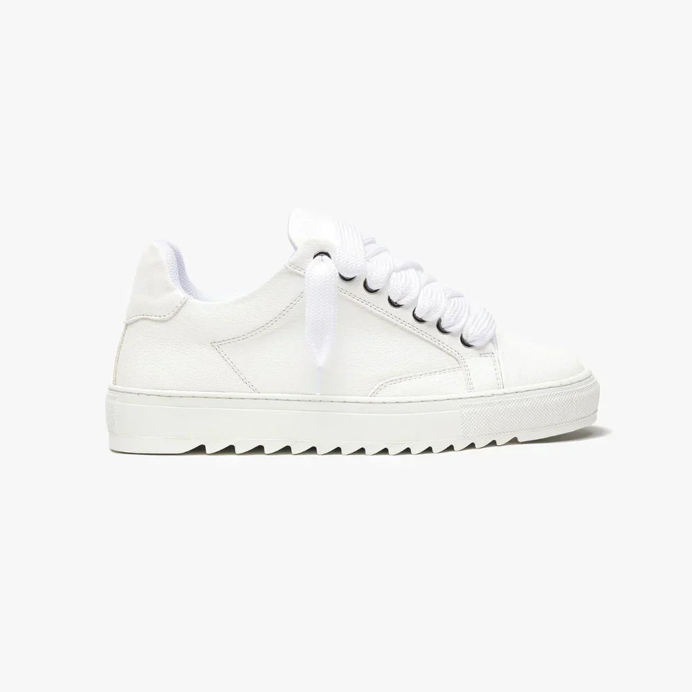 NUMERIS - SNEAKERS